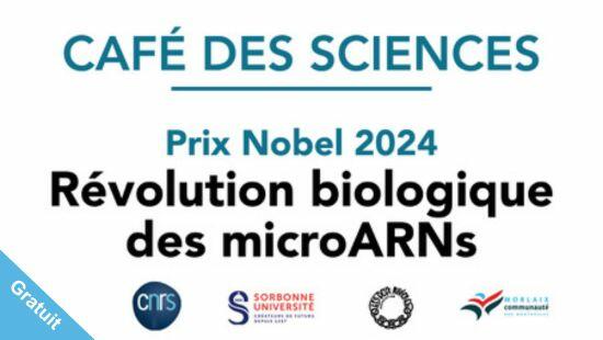 Café des sciences : Les « microARNs » Prix Nobel 2024, régulateurs cellulaires universels