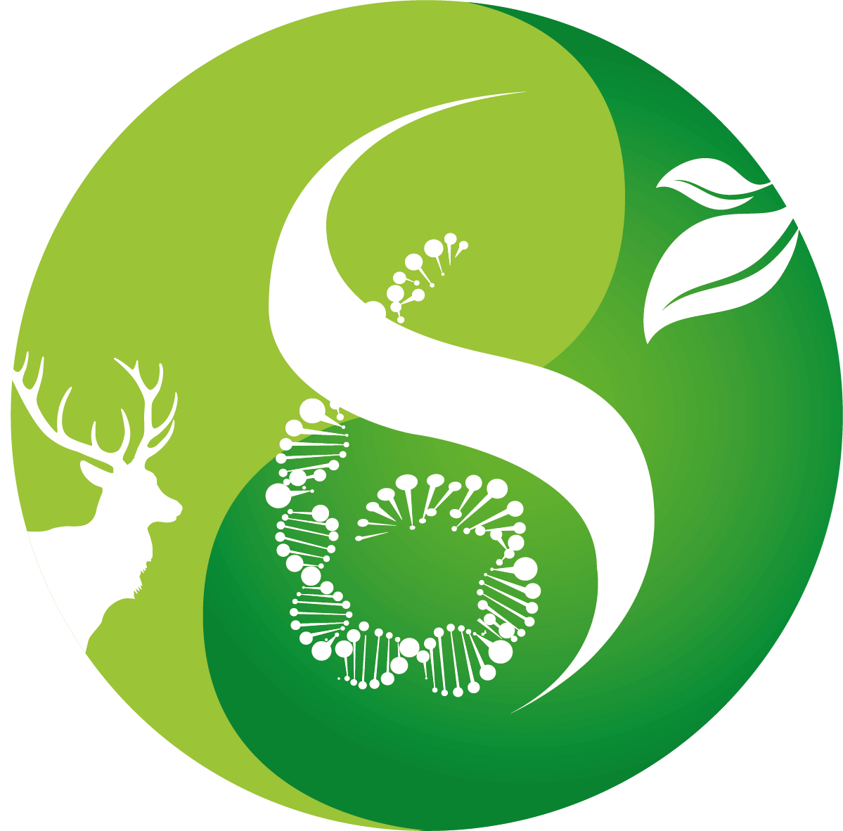 Symbiose6 logo